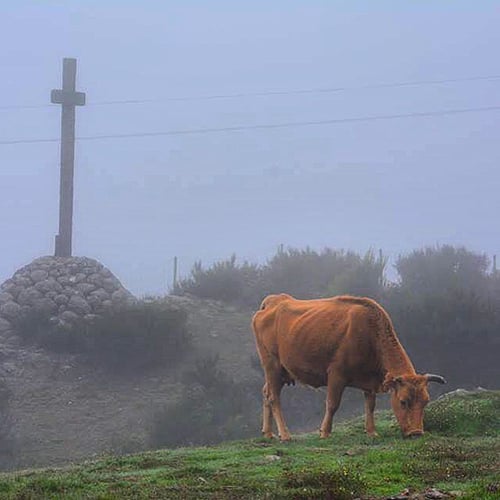 Madeira
